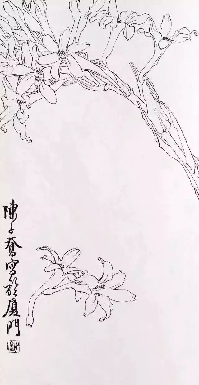 国画家陈子奋白描作品欣赏