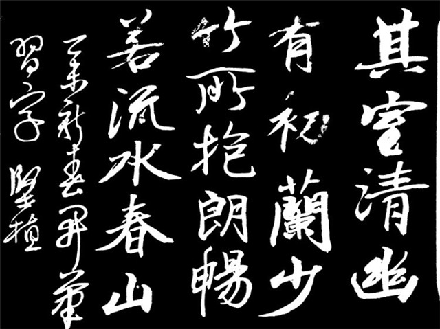 蔡坚植