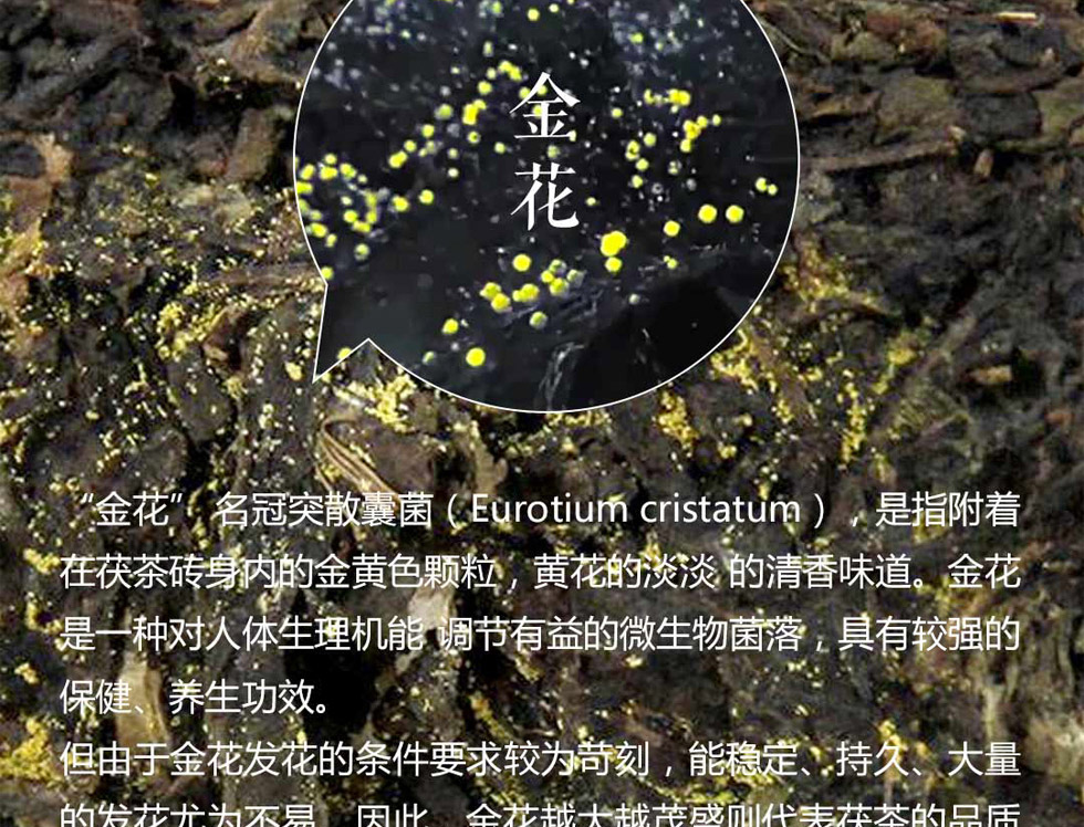 湘益茯茶新世纪纪念砖茶