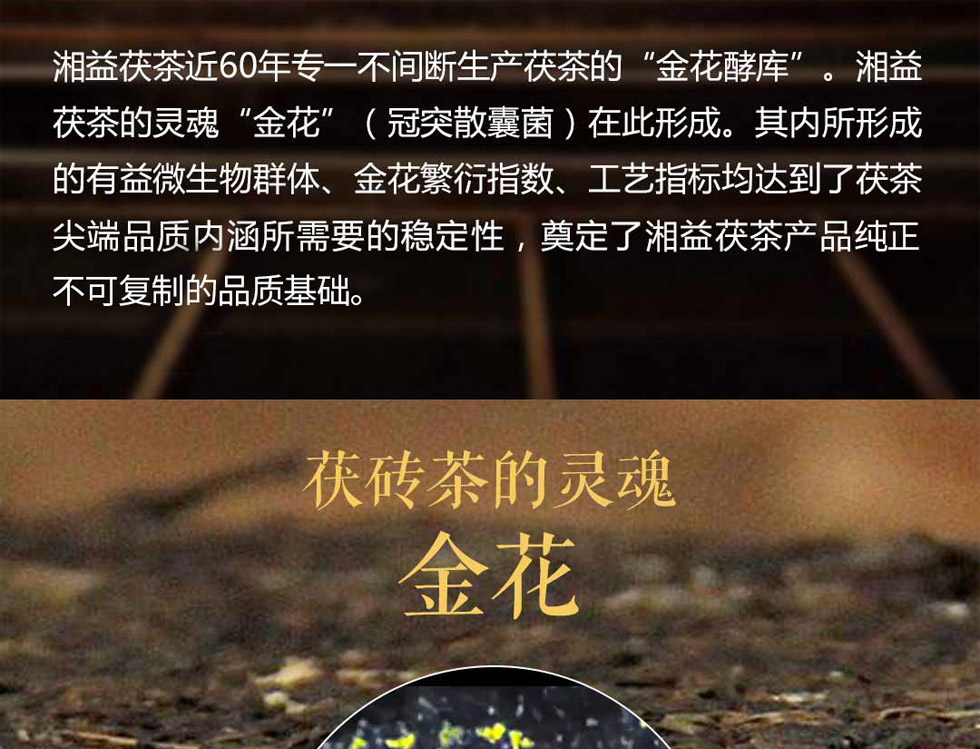 湘益茯茶新世纪纪念砖茶