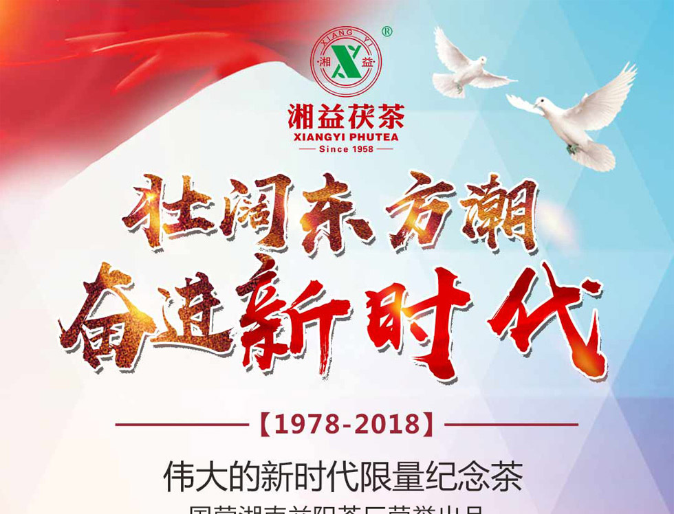 湘益茯茶新世纪纪念砖茶