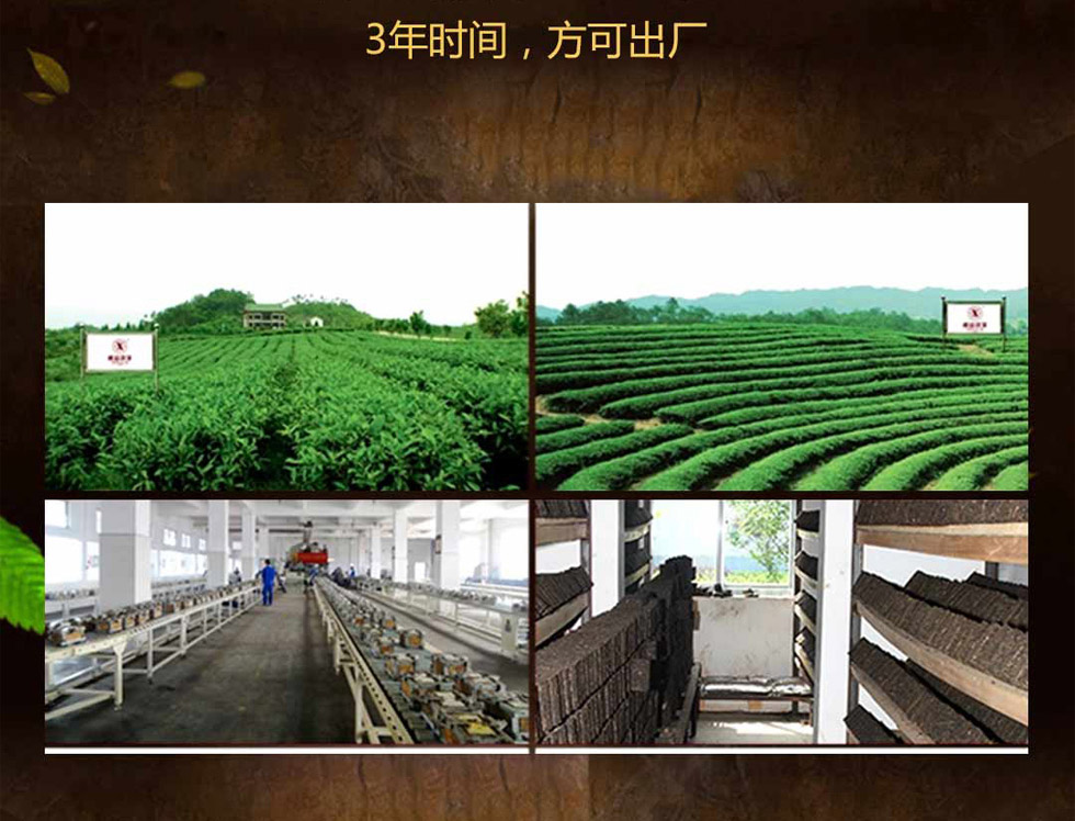 湘益茯茶新世纪纪念砖茶
