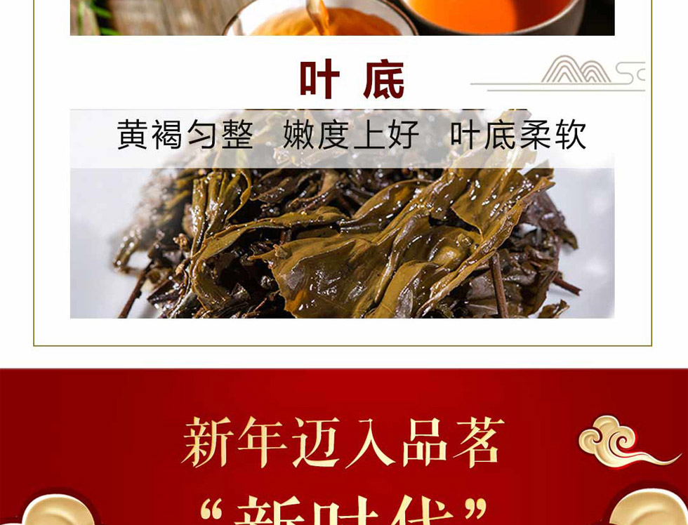 湘益茯茶新世纪纪念砖茶