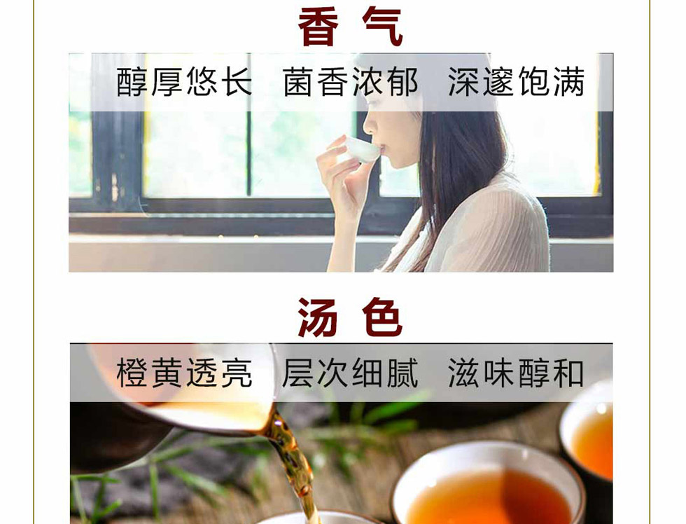 湘益茯茶新世纪纪念砖茶