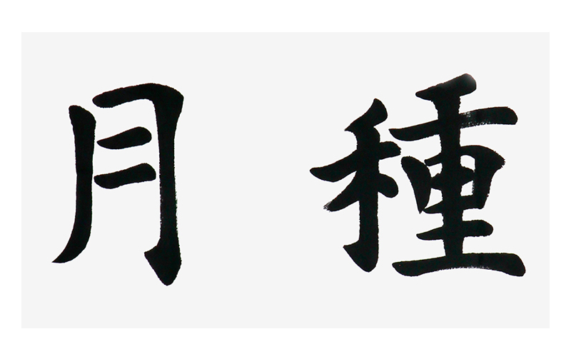 何代坤《耕云种月》北京载德堂书画院院长楷书书法横幅