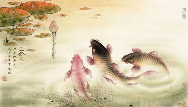 中国美协会员蓝健康老师三尺鲤鱼作品《三鱼图》