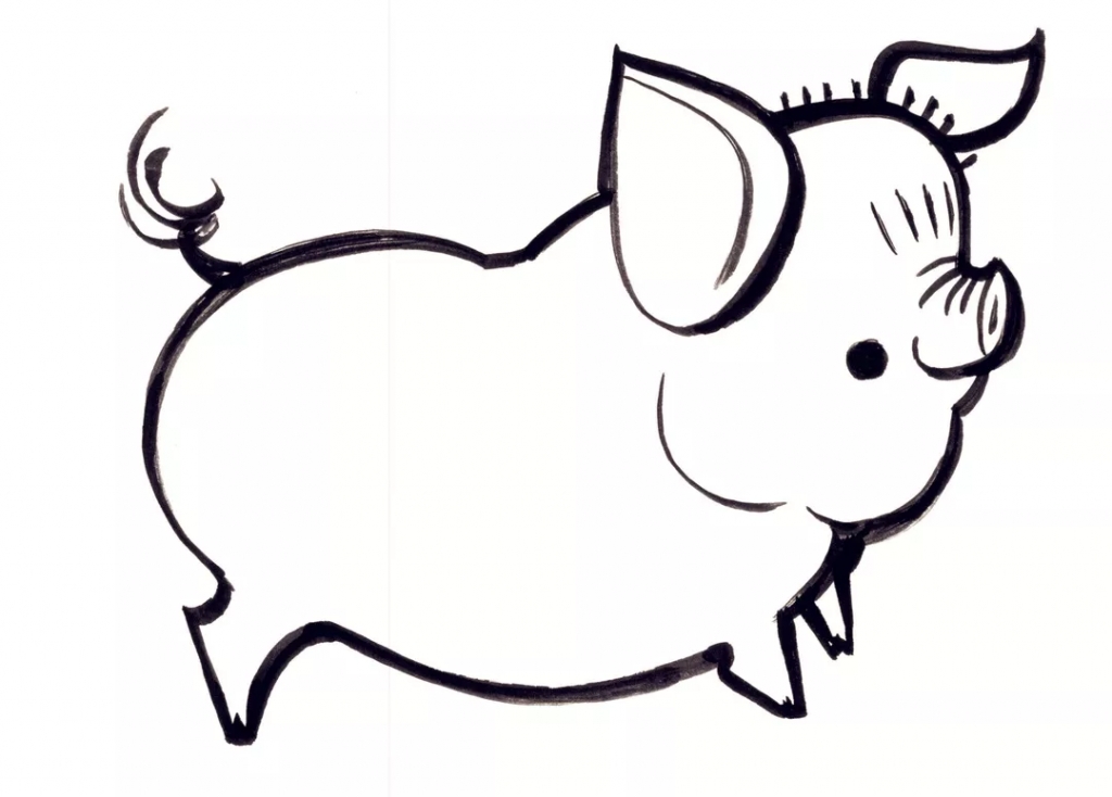 猪邮票简笔画图片