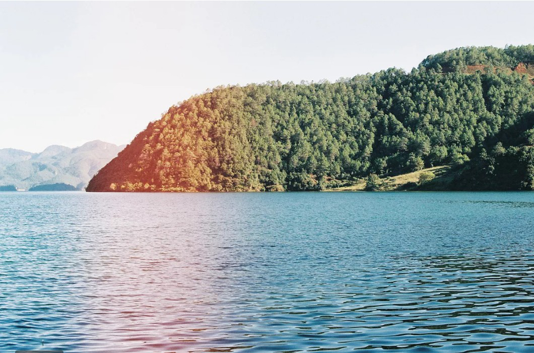https://images.sctx.com/upload/shop/article/05817038709355742.png