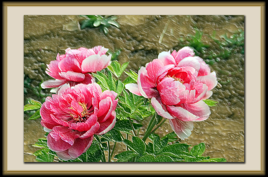 https://images.sctx.com/upload/shop/article/05823891866748752.jpg
