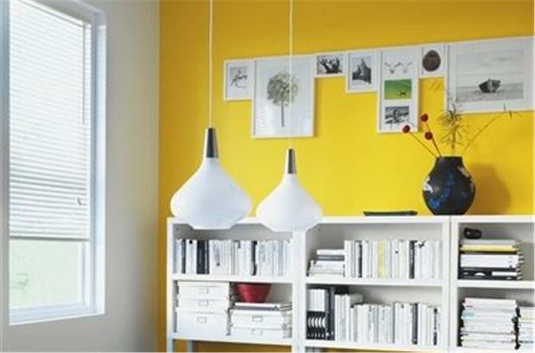 https://images.sctx.com/upload/shop/article/05836007157808309.jpg