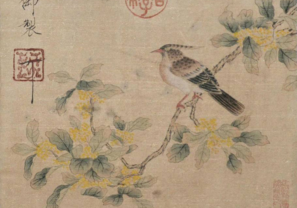 https://images.sctx.com/upload/shop/article/05839433366693539.jpg