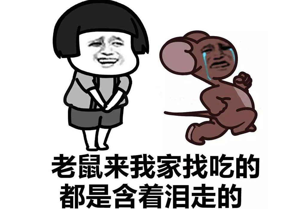 https://images.sctx.com/upload/shop/article/05899993845399075.jpg