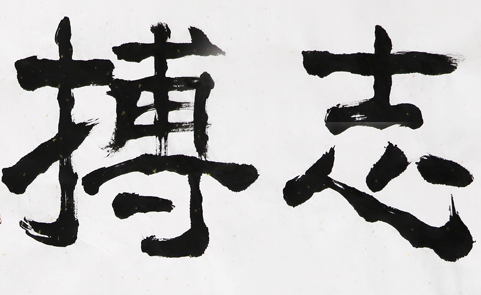 中国书法家协会会员 杨光前《志博云天》