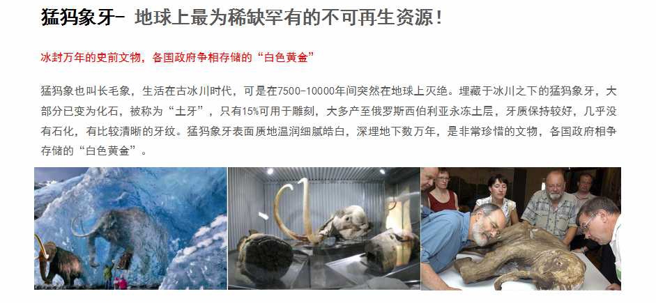 中国首轮十二生肖象牙邮票