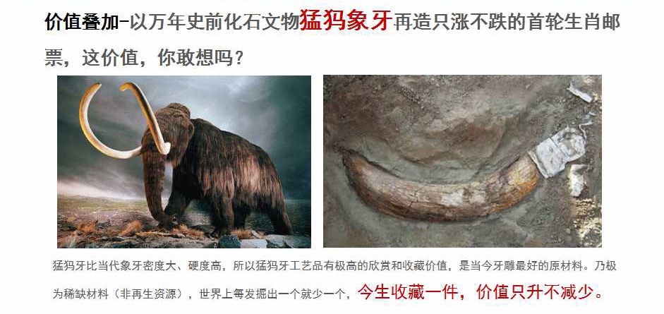 中国首轮十二生肖象牙邮票