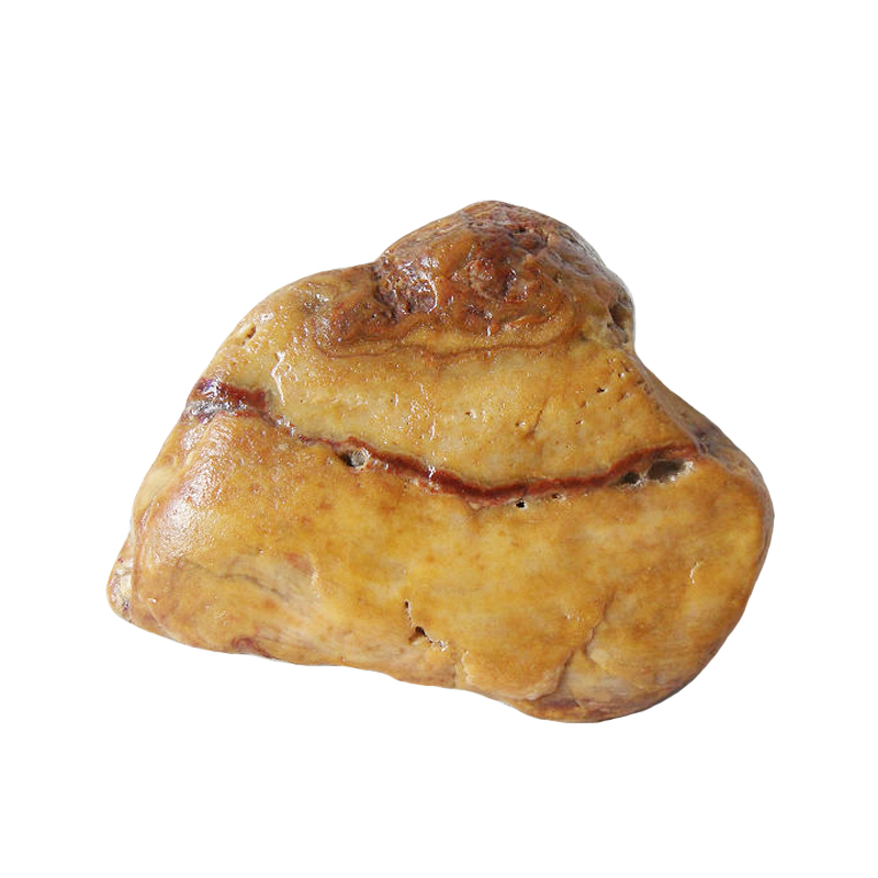 海龟360 天然黄蜡石奇石摆件